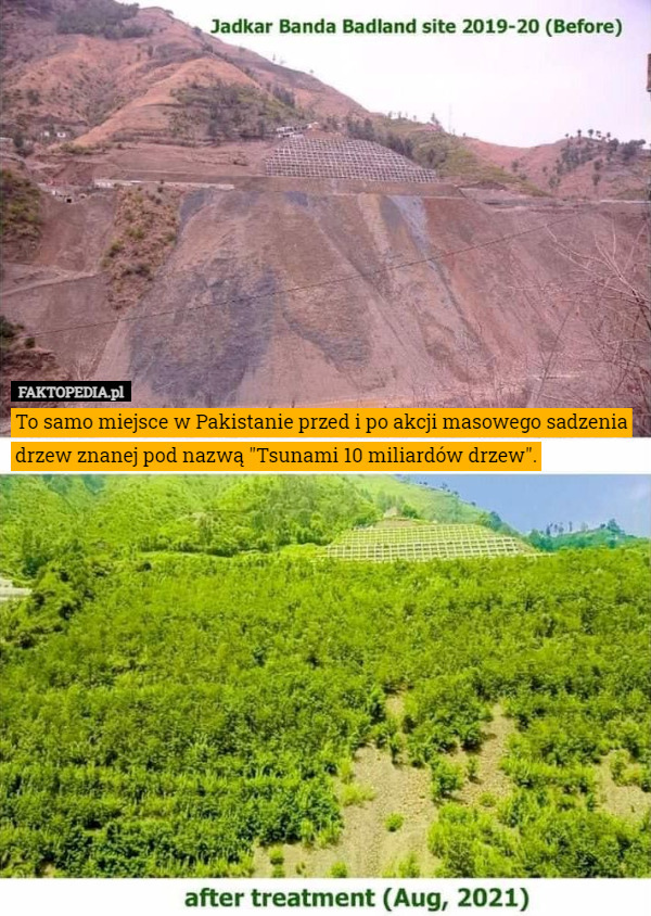 To samo miejsce w Pakistanie przed i po akcji masowego sadzenia drzew znanej pod nazwą "Tsunami 10 miliardów drzew". 