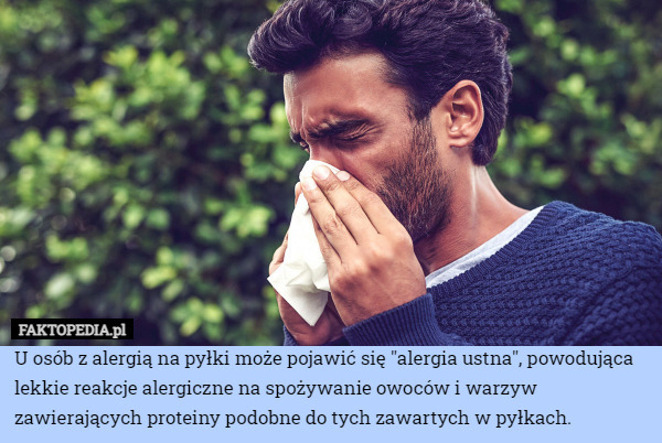 U osób z alergią na pyłki może pojawić się "alergia ustna", powodująca lekkie reakcje alergiczne na spożywanie owoców i warzyw zawierających proteiny podobne do tych zawartych w pyłkach. 