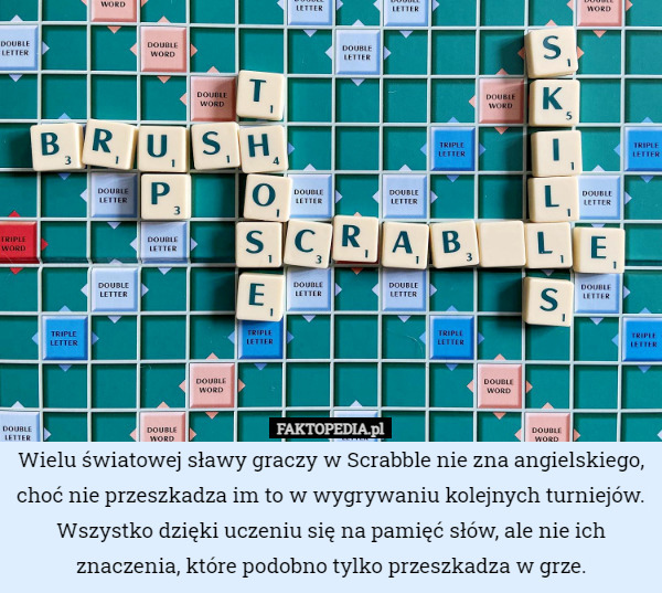 Wielu światowej sławy graczy w Scrabble nie zna angielskiego, choć nie przeszkadza im to w wygrywaniu kolejnych turniejów. Wszystko dzięki uczeniu się na pamięć słów, ale nie ich znaczenia, które podobno tylko przeszkadza w grze. 
