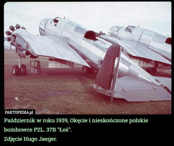 Październik w roku 1939, Okęcie i nieskończone polskie bombowce PZL. 37B "Łoś".
Zdjęcie Hugo Jaeger. 