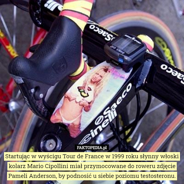Startując w wyścigu Tour de France w 1999 roku słynny włoski kolarz Mario Cipollini miał przymocowane do roweru zdjęcie Pameli Anderson, by podnosić u siebie poziomu testosteronu. 