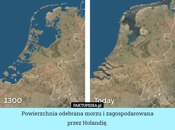 Powierzchnia odebrana morzu i zagospodarowana
przez Holandię. 