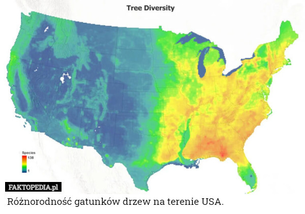 Różnorodność gatunków drzew na terenie USA. 