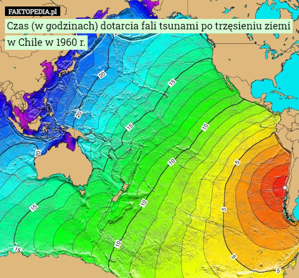 Czas (w godzinach) dotarcia fali tsunami po trzęsieniu ziemi w Chile w 1960 r. 