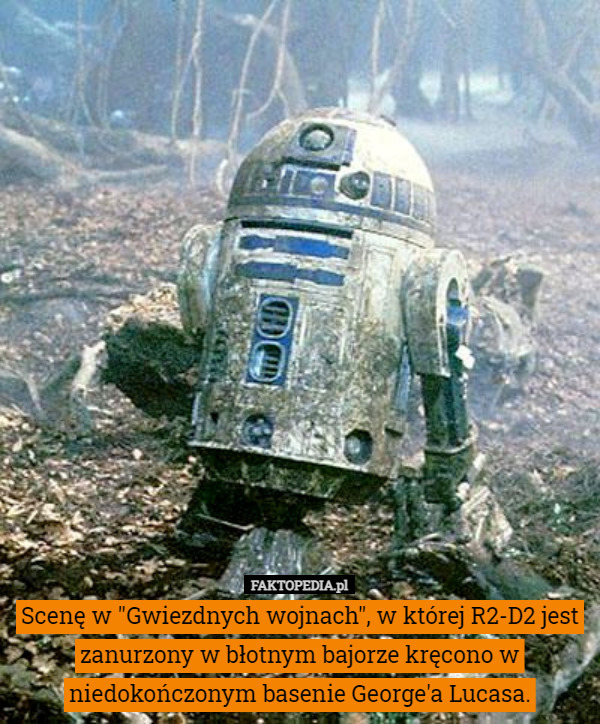 Scenę w "Gwiezdnych wojnach", w której R2-D2 jest zanurzony w błotnym bajorze kręcono w niedokończonym basenie George'a Lucasa. 