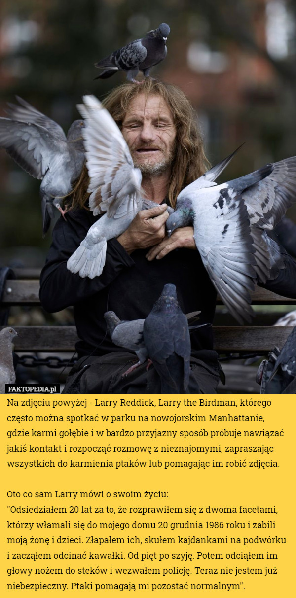 Na zdjęciu powyżej - Larry Reddick, Larry the Birdman, którego często można spotkać w parku na nowojorskim Manhattanie, gdzie karmi gołębie i w bardzo przyjazny sposób próbuje nawiązać jakiś kontakt i rozpocząć rozmowę z nieznajomymi, zapraszając wszystkich do karmienia ptaków lub pomagając im robić zdjęcia.

Oto co sam Larry mówi o swoim życiu:
"Odsiedziałem 20 lat za to, że rozprawiłem się z dwoma facetami, którzy włamali się do mojego domu 20 grudnia 1986 roku i zabili moją żonę i dzieci. Złapałem ich, skułem kajdankami na podwórku i zacząłem odcinać kawałki. Od pięt po szyję. Potem odciąłem im głowy nożem do steków i wezwałem policję. Teraz nie jestem już niebezpieczny. Ptaki pomagają mi pozostać normalnym". 