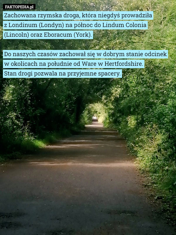 Zachowana rzymska droga, która niegdyś prowadziła
 z Londinum (Londyn) na północ do Lindum Colonia
 (Lincoln) oraz Eboracum (York).

Do naszych czasów zachował się w dobrym stanie odcinek w okolicach na południe od Ware w Hertfordshire.
 Stan drogi pozwala na przyjemne spacery. 