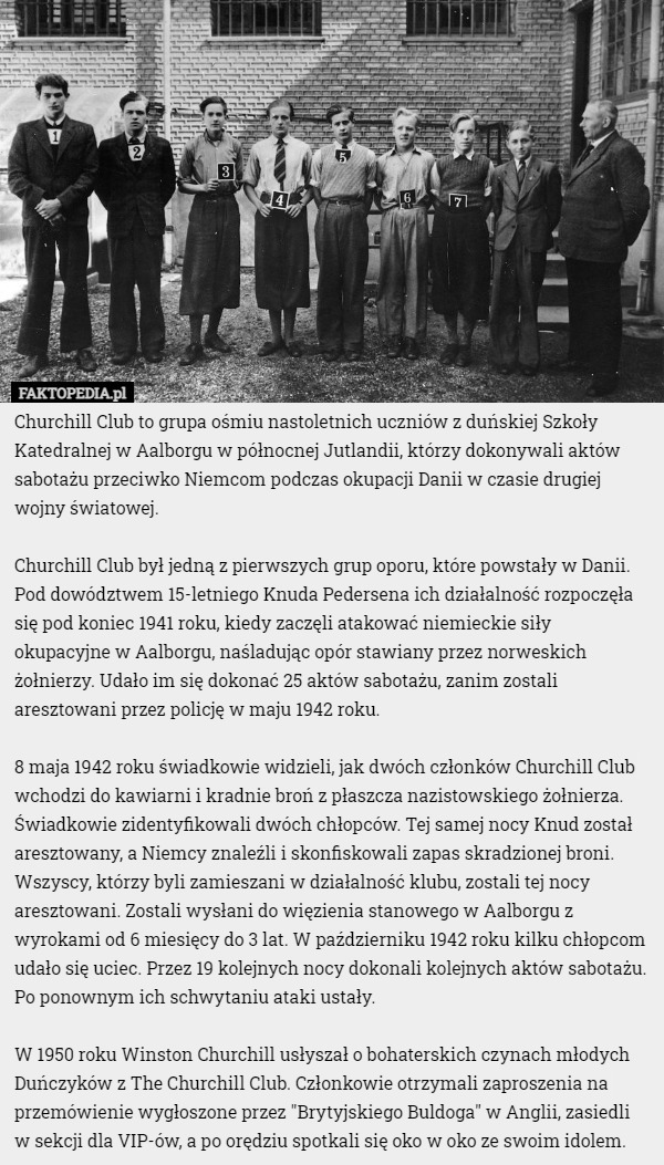 Churchill Club to grupa ośmiu nastoletnich uczniów z duńskiej Szkoły Katedralnej w Aalborgu w północnej Jutlandii, którzy dokonywali aktów sabotażu przeciwko Niemcom podczas okupacji Danii w czasie drugiej wojny światowej.

Churchill Club był jedną z pierwszych grup oporu, które powstały w Danii. Pod dowództwem 15-letniego Knuda Pedersena ich działalność rozpoczęła się pod koniec 1941 roku, kiedy zaczęli atakować niemieckie siły okupacyjne w Aalborgu, naśladując opór stawiany przez norweskich żołnierzy. Udało im się dokonać 25 aktów sabotażu, zanim zostali aresztowani przez policję w maju 1942 roku.

8 maja 1942 roku świadkowie widzieli, jak dwóch członków Churchill Club wchodzi do kawiarni i kradnie broń z płaszcza nazistowskiego żołnierza. Świadkowie zidentyfikowali dwóch chłopców. Tej samej nocy Knud został aresztowany, a Niemcy znaleźli i skonfiskowali zapas skradzionej broni. Wszyscy, którzy byli zamieszani w działalność klubu, zostali tej nocy aresztowani. Zostali wysłani do więzienia stanowego w Aalborgu z wyrokami od 6 miesięcy do 3 lat. W październiku 1942 roku kilku chłopcom udało się uciec. Przez 19 kolejnych nocy dokonali kolejnych aktów sabotażu. Po ponownym ich schwytaniu ataki ustały.

W 1950 roku Winston Churchill usłyszał o bohaterskich czynach młodych Duńczyków z The Churchill Club. Członkowie otrzymali zaproszenia na przemówienie wygłoszone przez "Brytyjskiego Buldoga" w Anglii, zasiedli w sekcji dla VIP-ów, a po orędziu spotkali się oko w oko ze swoim idolem. 