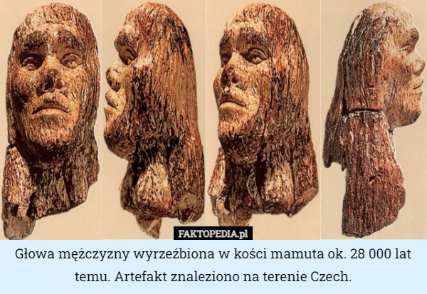 Głowa mężczyzny wyrzeźbiona w kości mamuta ok. 28 000 lat temu. Artefakt znaleziono na terenie Czech. 