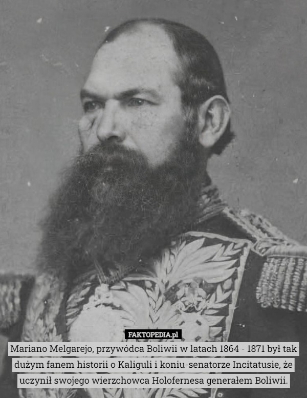Mariano Melgarejo, przywódca Boliwii w latach 1864 - 1871 był tak dużym fanem historii o Kaliguli i koniu-senatorze Incitatusie, że uczynił swojego wierzchowca Holofernesa generałem Boliwii. 