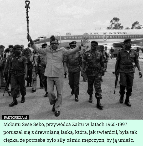Mobutu Sese Seko, przywódca Zairu w latach 1965-1997 poruszał się z drewnianą laską, która, jak twierdził, była tak ciężka, że potrzeba było siły ośmiu mężczyzn, by ją unieść. 