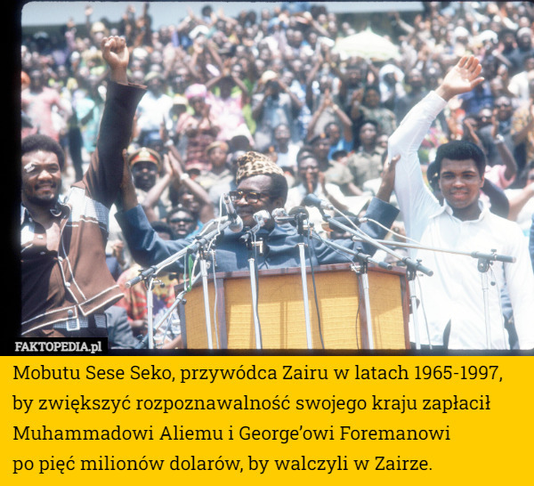 Mobutu Sese Seko, przywódca Zairu w latach 1965-1997, by zwiększyć rozpoznawalność swojego kraju zapłacił Muhammadowi Aliemu i George’owi Foremanowi
 po pięć milionów dolarów, by walczyli w Zairze. 