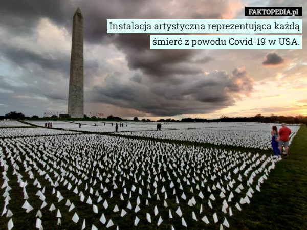 Instalacja artystyczna reprezentująca każdą śmierć z powodu Covid-19 w USA. 