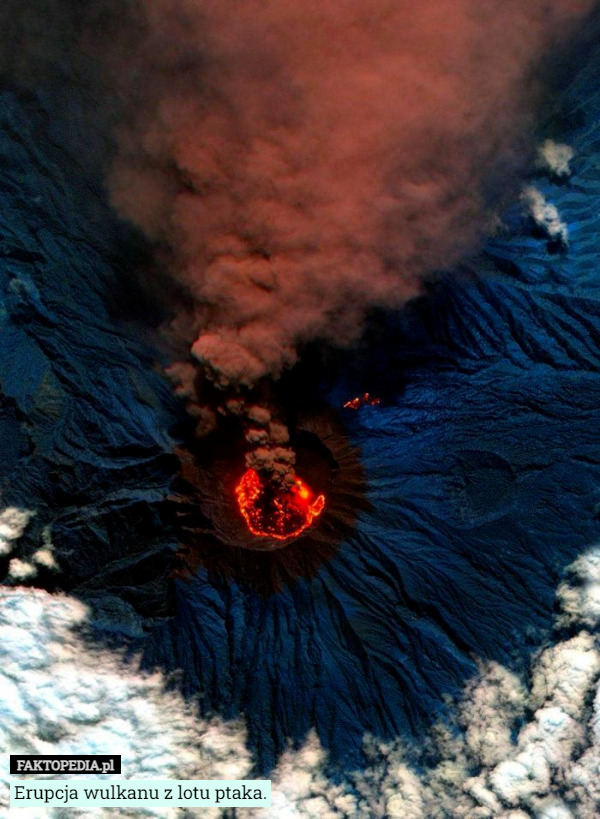 Erupcja wulkanu z lotu ptaka. 
