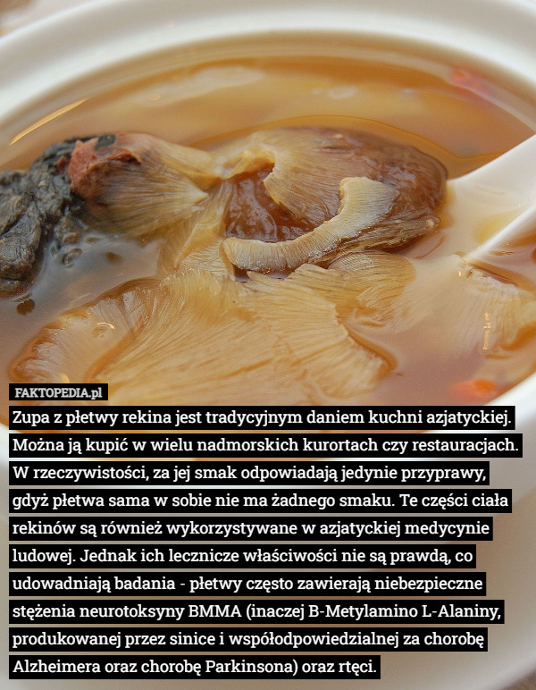 Zupa z płetwy rekina jest tradycyjnym daniem kuchni azjatyckiej. Można ją kupić w wielu nadmorskich kurortach czy restauracjach. W rzeczywistości, za jej smak odpowiadają jedynie przyprawy, gdyż płetwa sama w sobie nie ma żadnego smaku. Te części ciała rekinów są również wykorzystywane w azjatyckiej medycynie ludowej. Jednak ich lecznicze właściwości nie są prawdą, co udowadniają badania - płetwy często zawierają niebezpieczne stężenia neurotoksyny BMMA (inaczej B-Metylamino L-Alaniny, produkowanej przez sinice i współodpowiedzialnej za chorobę Alzheimera oraz chorobę Parkinsona) oraz rtęci. 