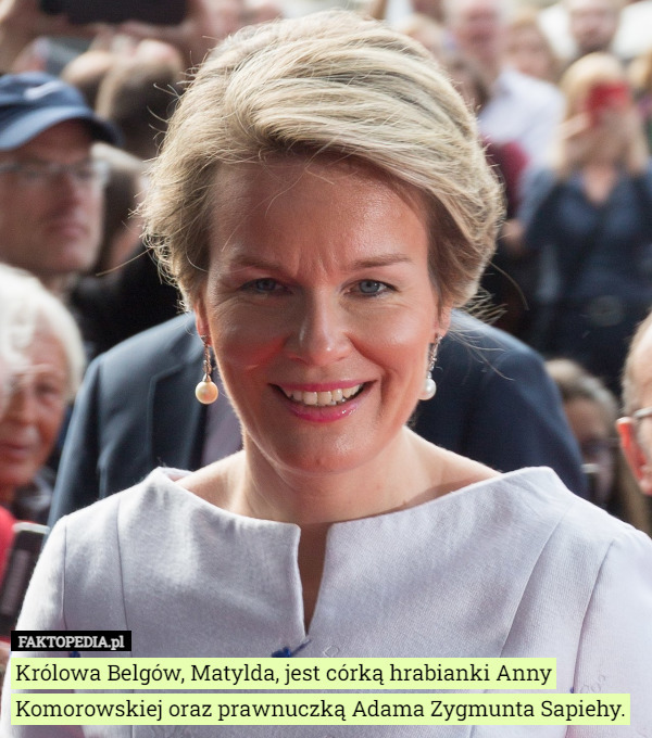 Królowa Belgów, Matylda, jest córką hrabianki Anny Komorowskiej oraz prawnuczką Adama Zygmunta Sapiehy. 