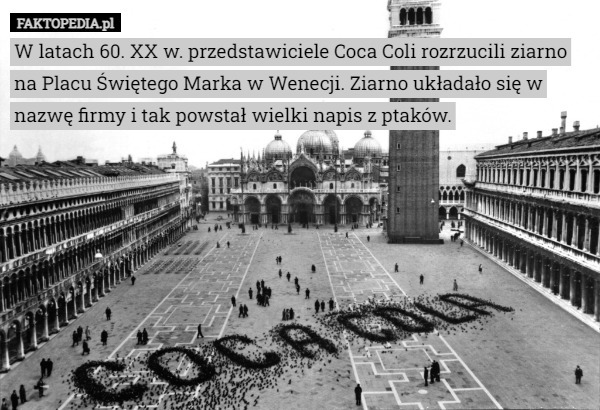 W latach 60. XX w. przedstawiciele Coca Coli rozrzucili ziarno na Placu Świętego Marka w Wenecji. Ziarno układało się w nazwę firmy i tak powstał wielki napis z ptaków. 