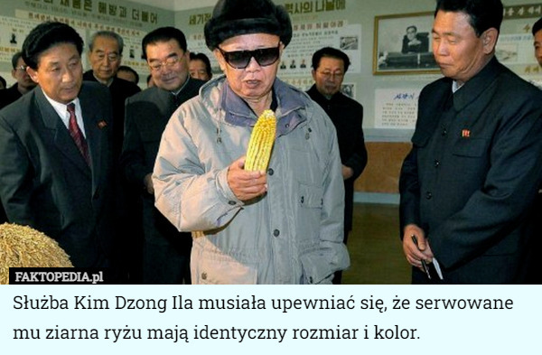Służba Kim Dzong Ila musiała upewniać się, że serwowane mu ziarna ryżu mają identyczny rozmiar i kolor. 