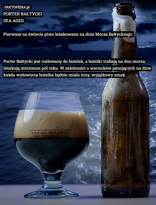 PORTER BAŁTYCKI
SEA AGED

Pierwsze na świecie piwo leżakowane na dnie Morza Bałtyckiego.

 

Porter Bałtycki jest rozlewany do butelek, a butelki trafiają na dno morza, leżakują minimum pół roku. W zależności o warunków panujących na dnie każda wyłowiona butelka będzie miała inny, wyjątkowy smak. 
