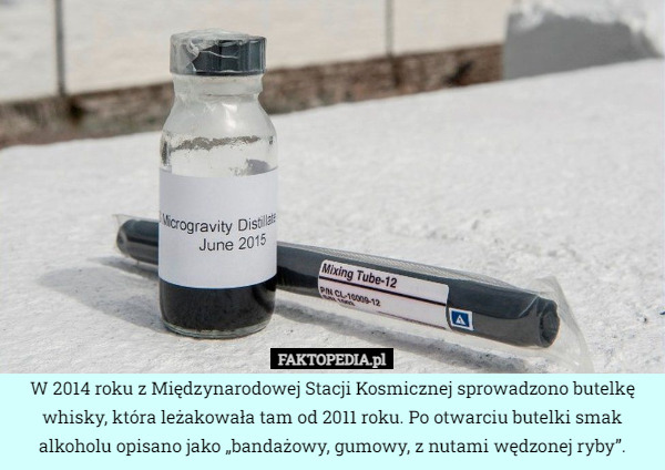 W 2014 roku z Międzynarodowej Stacji Kosmicznej sprowadzono butelkę whisky, która leżakowała tam od 2011 roku. Po otwarciu butelki smak alkoholu opisano jako „bandażowy, gumowy, z nutami wędzonej ryby”. 