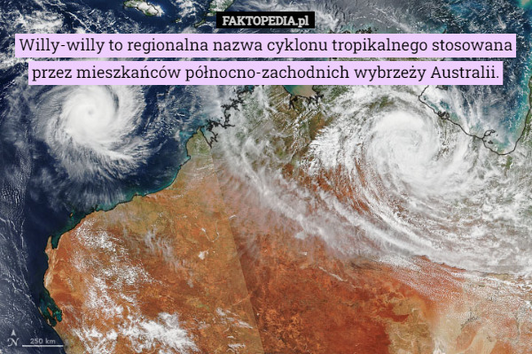 Willy-willy to regionalna nazwa cyklonu tropikalnego stosowana przez mieszkańców północno-zachodnich wybrzeży Australii. 