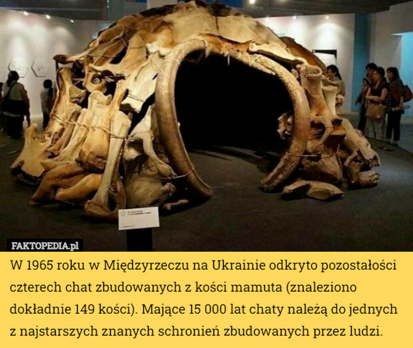 W 1965 roku w Międzyrzeczu na Ukrainie odkryto pozostałości czterech chat zbudowanych z kości mamuta (znaleziono dokładnie 149 kości). Mające 15 000 lat chaty należą do jednych z najstarszych znanych schronień zbudowanych przez ludzi. 