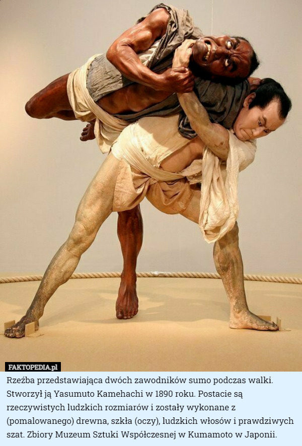 Rzeźba przedstawiająca dwóch zawodników sumo podczas walki. Stworzył ją Yasumuto Kamehachi w 1890 roku. Postacie są rzeczywistych ludzkich rozmiarów i zostały wykonane z (pomalowanego) drewna, szkła (oczy), ludzkich włosów i prawdziwych szat. Zbiory Muzeum Sztuki Współczesnej w Kumamoto w Japonii. 