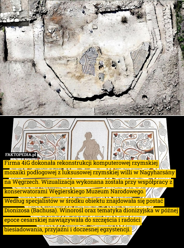 Firma 4iG dokonała rekonstrukcji komputerowej rzymskiej mozaiki podłogowej z luksusowej rzymskiej willi w Nagyharsány na Węgrzech. Wizualizacja wykonana została przy współpracy z konserwatorami Węgierskiego Muzeum Narodowego.
Według specjalistów w środku obiektu znajdowała się postać Dionizosa (Bachusa). Winorośl oraz tematyka dionizyjska w późnej epoce cesarskiej nawiązywała do szczęścia i radości biesiadowania, przyjaźni i doczesnej egzystencji. 