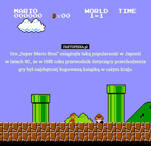 Gra „Super Mario Bros” osiągnęła taką popularność w Japonii
 w latach 80., że w 1985 roku przewodnik dotyczący przechodzenia gry był najchętniej kupowaną książką w całym kraju. 