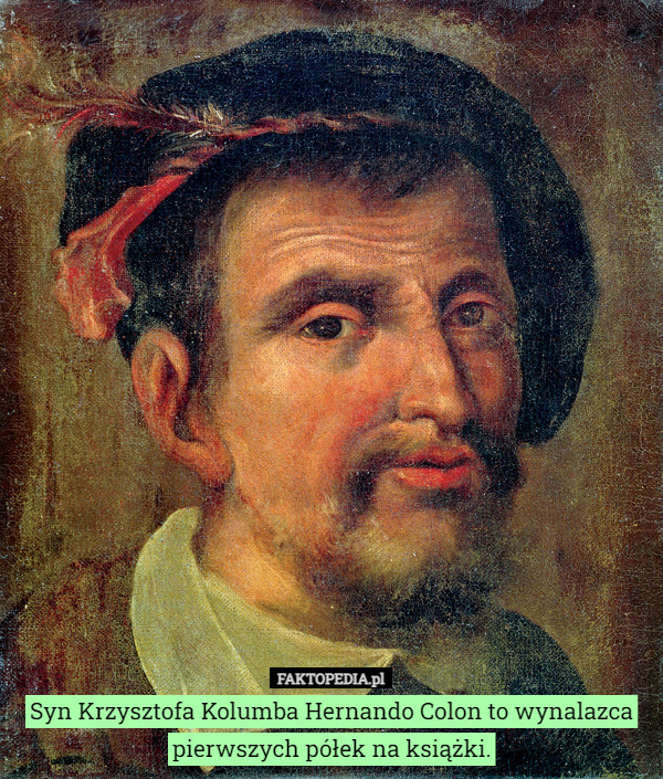 Syn Krzysztofa Kolumba Hernando Colon to wynalazca pierwszych półek na książki. 
