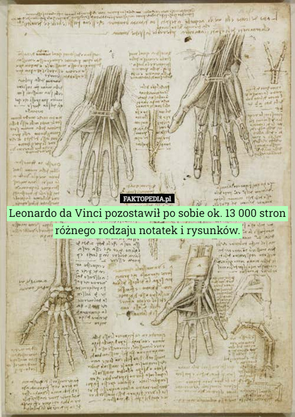 Leonardo da Vinci pozostawił po sobie ok. 13 000 stron różnego rodzaju notatek i rysunków. 