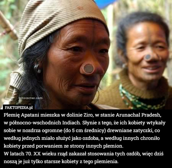 Plemię Apatani mieszka w dolinie Ziro, w stanie Arunachal Pradesh,
 w północno-wschodnich Indiach. Słynie z tego, że ich kobiety wtykały sobie w nozdrza ogromne (do 5 cm średnicy) drewniane zatyczki, co według jednych miało służyć jako ozdoba, a według innych chroniło kobiety przed porwaniem ze strony innych plemion.
 W latach 70. XX wieku rząd zakazał stosowania tych ozdób, więc dziś noszą je już tylko starsze kobiety z tego plemienia. 