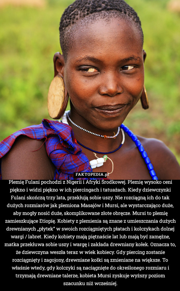 Plemię Fulani pochodzi z Nigerii i Afryki Środkowej. Plemię wysoko ceni piękno i widzi piękno w ich piercingach i tatuażach. Kiedy dziewczynki Fulani skończą trzy lata, przekłują sobie uszy. Nie rozciągną ich do tak dużych rozmiarów jak plemiona Masajów i Mursi, ale wystarczająco duże, aby mogły nosić duże, skomplikowane złote obręcze. Mursi to plemię zamieszkujące Etiopię. Kobiety z plemienia są znane z umieszczania dużych drewnianych „płytek” w swoich rozciągniętych płatach i kolczykach dolnej wargi / labret. Kiedy kobiety mają piętnaście lat lub mają być zamężne, matka przekłuwa sobie uszy i wargę i zakłada drewniany kołek. Oznacza to, że dziewczyna weszła teraz w wiek kobiecy. Gdy piercing zostanie rozciągnięty i zagojony, drewniane kołki są zmieniane na większe. To właśnie wtedy, gdy kolczyki są naciągnięte do określonego rozmiaru i trzymają drewniane talerze, kobieta Mursi zyskuje wyższy poziom szacunku niż wcześniej. 