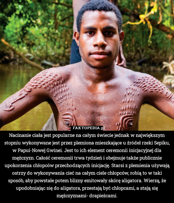 Nacinanie ciała jest popularne na całym świecie jednak w największym stopniu wykonywane jest przez plemiona mieszkające u źródeł rzeki Sepiku, w Papui-Nowej Gwinei. Jest to ich element ceremonii inicjacyjnej dla mężczyzn. Całość ceremonii trwa tydzień i obejmuje także publicznie upokorzenia chłopców przechodzących inicjację. Starsi z plemienia używają ostrzy do wykonywania cieć na całym ciele chłopców, robią to w taki sposób, aby powstałe potem blizny emitowały skórę aligatora. Wierzą, że upodobniając się do aligatora, przestają być chłopcami, a stają się mężczyznami- drapieżcami. 
