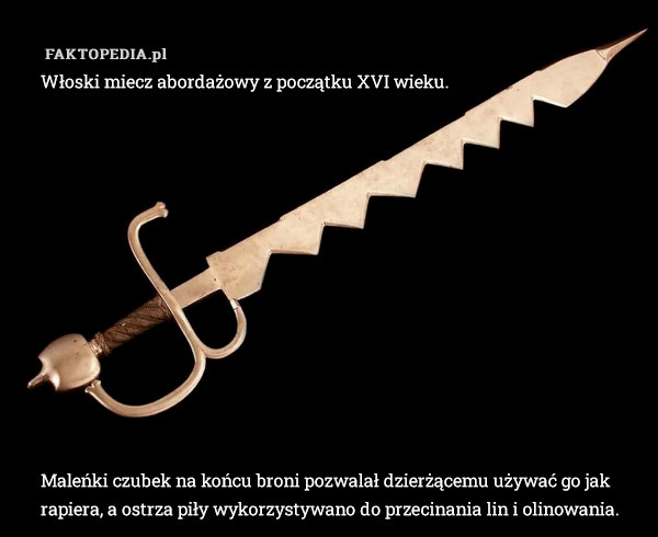 Włoski miecz abordażowy z początku XVI wieku.













Maleńki czubek na końcu broni pozwalał dzierżącemu używać go jak rapiera, a ostrza piły wykorzystywano do przecinania lin i olinowania. 