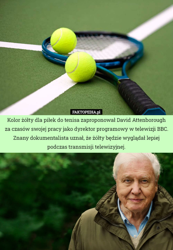 Kolor żółty dla piłek do tenisa zaproponował David Attenborough za czasów swojej pracy jako dyrektor programowy w telewizji BBC. Znany dokumentalista uznał, że żółty będzie wyglądał lepiej podczas transmisji telewizyjnej. 