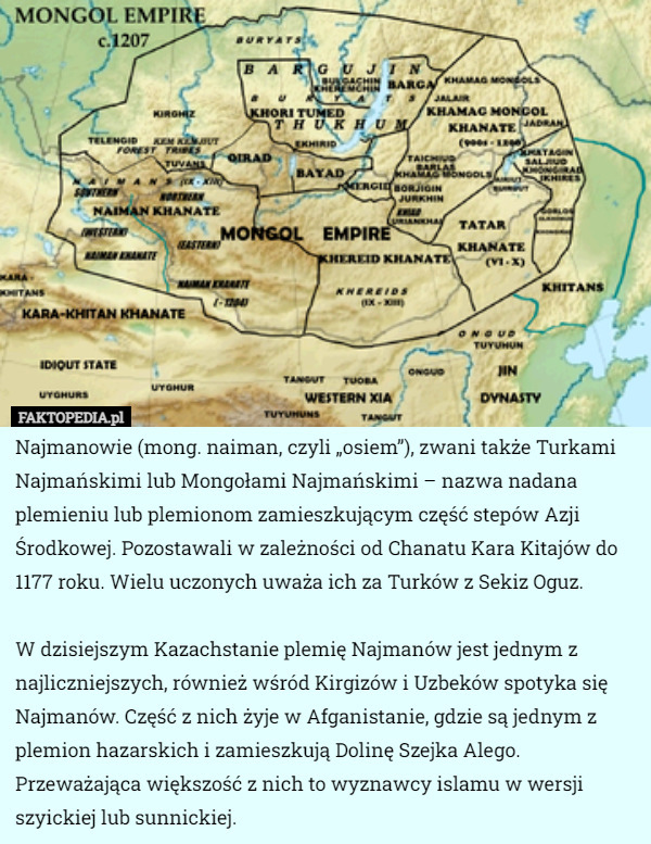 Najmanowie (mong. naiman, czyli „osiem”), zwani także Turkami Najmańskimi lub Mongołami Najmańskimi – nazwa nadana plemieniu lub plemionom zamieszkującym część stepów Azji Środkowej. Pozostawali w zależności od Chanatu Kara Kitajów do 1177 roku. Wielu uczonych uważa ich za Turków z Sekiz Oguz.

W dzisiejszym Kazachstanie plemię Najmanów jest jednym z najliczniejszych, również wśród Kirgizów i Uzbeków spotyka się Najmanów. Część z nich żyje w Afganistanie, gdzie są jednym z plemion hazarskich i zamieszkują Dolinę Szejka Alego. Przeważająca większość z nich to wyznawcy islamu w wersji szyickiej lub sunnickiej. 
