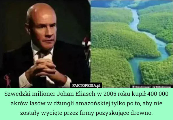 Szwedzki milioner Johan Eliasch w 2005 roku kupił 400 000 akrów lasów w dżungli amazońskiej tylko po to, aby nie zostały wycięte przez firmy pozyskujące drewno. 