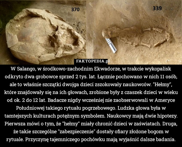 W Salango, w środkowo-zachodnim Ekwadorze, w trakcie wykopalisk odkryto dwa grobowce sprzed 2 tys. lat. Łącznie pochowano w nich 11 osób, ale to właśnie szczątki dwojga dzieci zszokowały naukowców. "Hełmy", które znajdowały się na ich głowach, zrobione były z czaszek dzieci w wieku od ok. 2 do 12 lat. Badacze nigdy wcześniej nie zaobserwowali w Ameryce Południowej takiego rytuału pogrzebowego. Ludzka głowa była w tamtejszych kulturach potężnym symbolem. Naukowcy mają dwie hipotezy. Pierwsza mówi o tym, że "hełmy" miały chronić dzieci w zaświatach. Druga, że takie szczególne "zabezpieczenie" dostały ofiary złożone bogom w rytuale. Przyczynę tajemniczego pochówku mają wyjaśnić dalsze badania. 