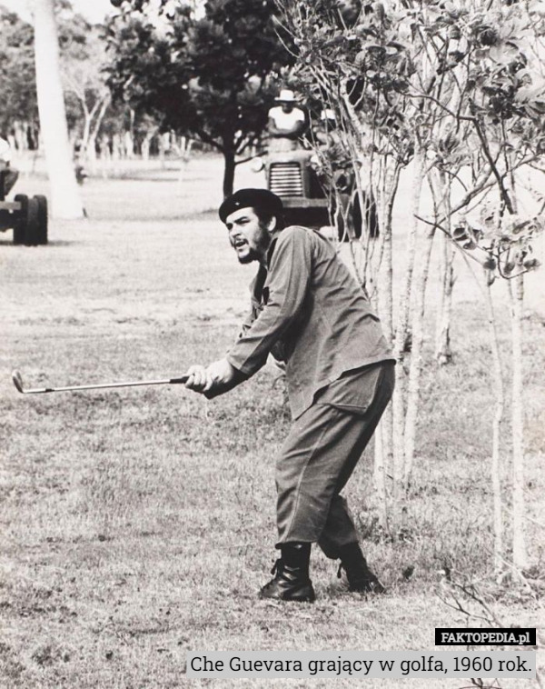 Che Guevara grający w golfa, 1960 rok. 