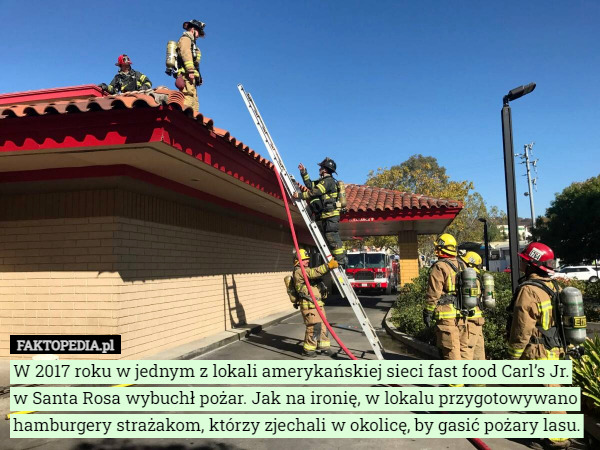 W 2017 roku w jednym z lokali amerykańskiej sieci fast food Carl’s Jr. w Santa Rosa wybuchł pożar. Jak na ironię, w lokalu przygotowywano hamburgery strażakom, którzy zjechali w okolicę, by gasić pożary lasu. 