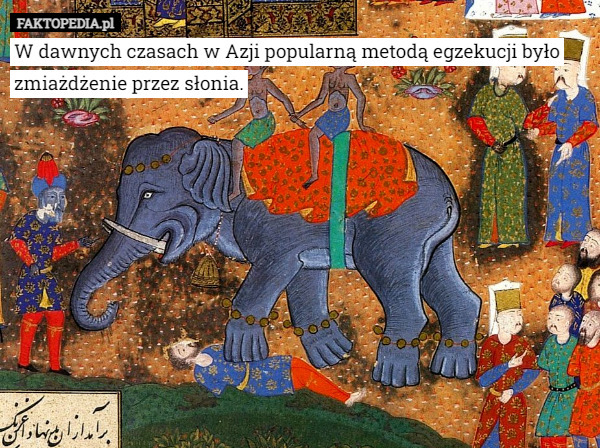 W dawnych czasach w Azji popularną metodą egzekucji było zmiażdżenie przez słonia. 
