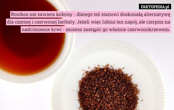 Rooibos nie zawiera kofeiny - dlatego też stanowi doskonałą alternatywę dla czarnej i czerwonej herbaty. Jeżeli więc lubisz ten napój, ale cierpisz na nadciśnienie krwi - możesz zastąpić go właśnie czerwonokrzewem. 