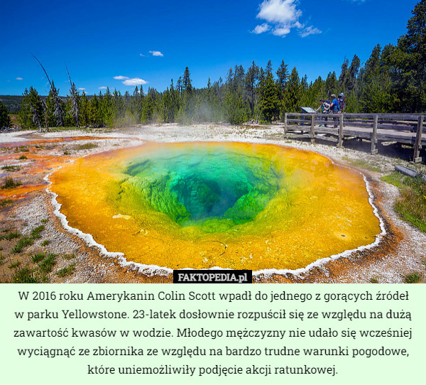 W 2016 roku Amerykanin Colin Scott wpadł do jednego z gorących źródeł
 w parku Yellowstone. 23-latek dosłownie rozpuścił się ze względu na dużą zawartość kwasów w wodzie. Młodego mężczyzny nie udało się wcześniej wyciągnąć ze zbiornika ze względu na bardzo trudne warunki pogodowe, które uniemożliwiły podjęcie akcji ratunkowej. 