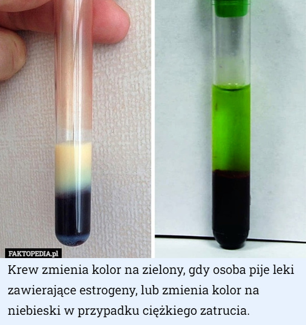 Krew zmienia kolor na zielony, gdy osoba pije leki zawierające estrogeny, lub zmienia kolor na niebieski w przypadku ciężkiego zatrucia. 
