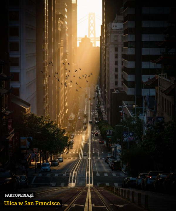 Ulica w San Francisco. 