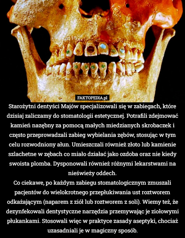 Starożytni dentyści Majów specjalizowali się w zabiegach, które dzisiaj zaliczamy do stomatologii estetycznej. Potrafili zdejmować kamień nazębny za pomocą małych miedzianych skrobaczek i często przeprowadzali zabieg wybielania zębów, stosując w tym celu rozwodniony ałun. Umieszczali również złoto lub kamienie szlachetne w zębach co miało działać jako ozdoba oraz nie kiedy swoista plomba. Dysponowali również różnymi lekarstwami na nieświeży oddech.
Co ciekawe, po każdym zabiegu stomatologicznym zmuszali pacjentów do wielokrotnego przepłukiwania ust roztworem odkażającym (naparem z ziół lub roztworem z soli). Wiemy też, że dezynfekowali dentystyczne narzędzia przemywając je ziołowymi płukankami. Stosowali więc w praktyce zasady aseptyki, chociaż uzasadniali je w magiczny sposób. 