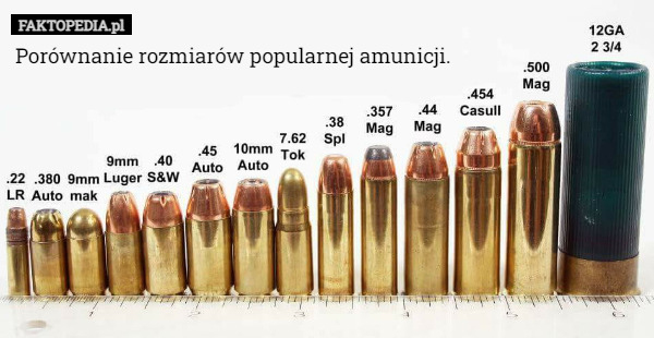 Porównanie rozmiarów popularnej amunicji. 