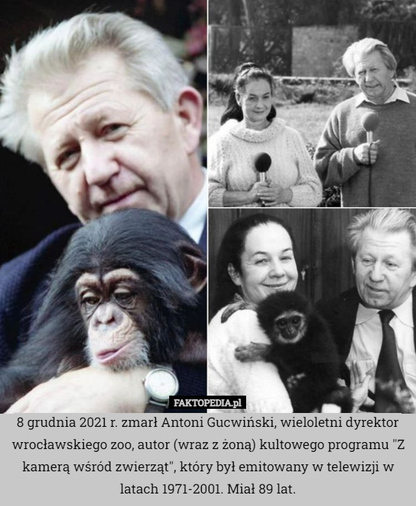 8 grudnia 2021 r. zmarł Antoni Gucwiński, wieloletni dyrektor wrocławskiego zoo, autor (wraz z żoną) kultowego programu "Z kamerą wśród zwierząt", który był emitowany w telewizji w latach 1971-2001. Miał 89 lat. 