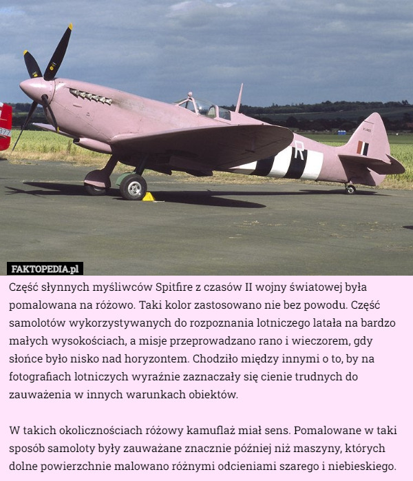 Część słynnych myśliwców Spitfire z czasów II wojny światowej była pomalowana na różowo. Taki kolor zastosowano nie bez powodu. Część samolotów wykorzystywanych do rozpoznania lotniczego latała na bardzo małych wysokościach, a misje przeprowadzano rano i wieczorem, gdy słońce było nisko nad horyzontem. Chodziło między innymi o to, by na fotografiach lotniczych wyraźnie zaznaczały się cienie trudnych do zauważenia w innych warunkach obiektów.

W takich okolicznościach różowy kamuflaż miał sens. Pomalowane w taki sposób samoloty były zauważane znacznie później niż maszyny, których dolne powierzchnie malowano różnymi odcieniami szarego i niebieskiego. 